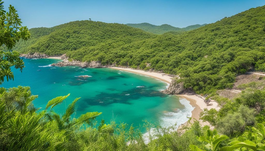 Huatulco ecological restoration projects